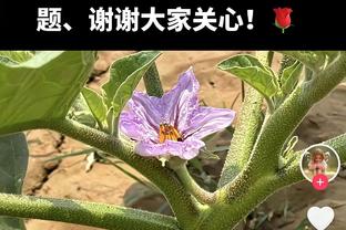 象征性打打？周鹏虽首发出战但只上场5分半钟 没有出手只拿1篮板